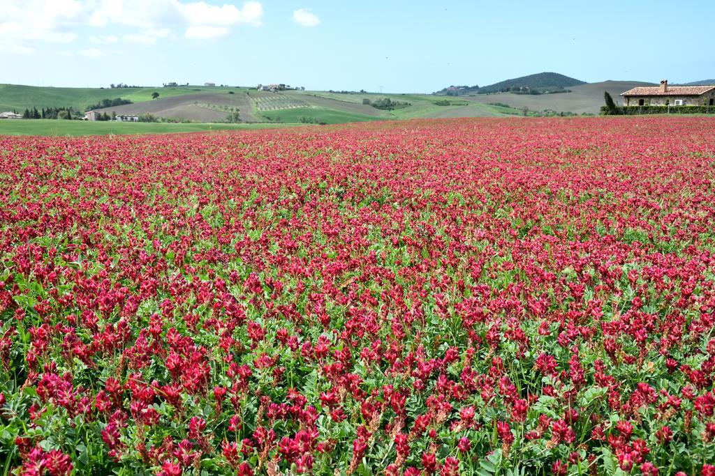 סנטה לוצ'ה Agriturismo L'Impero מראה חיצוני תמונה