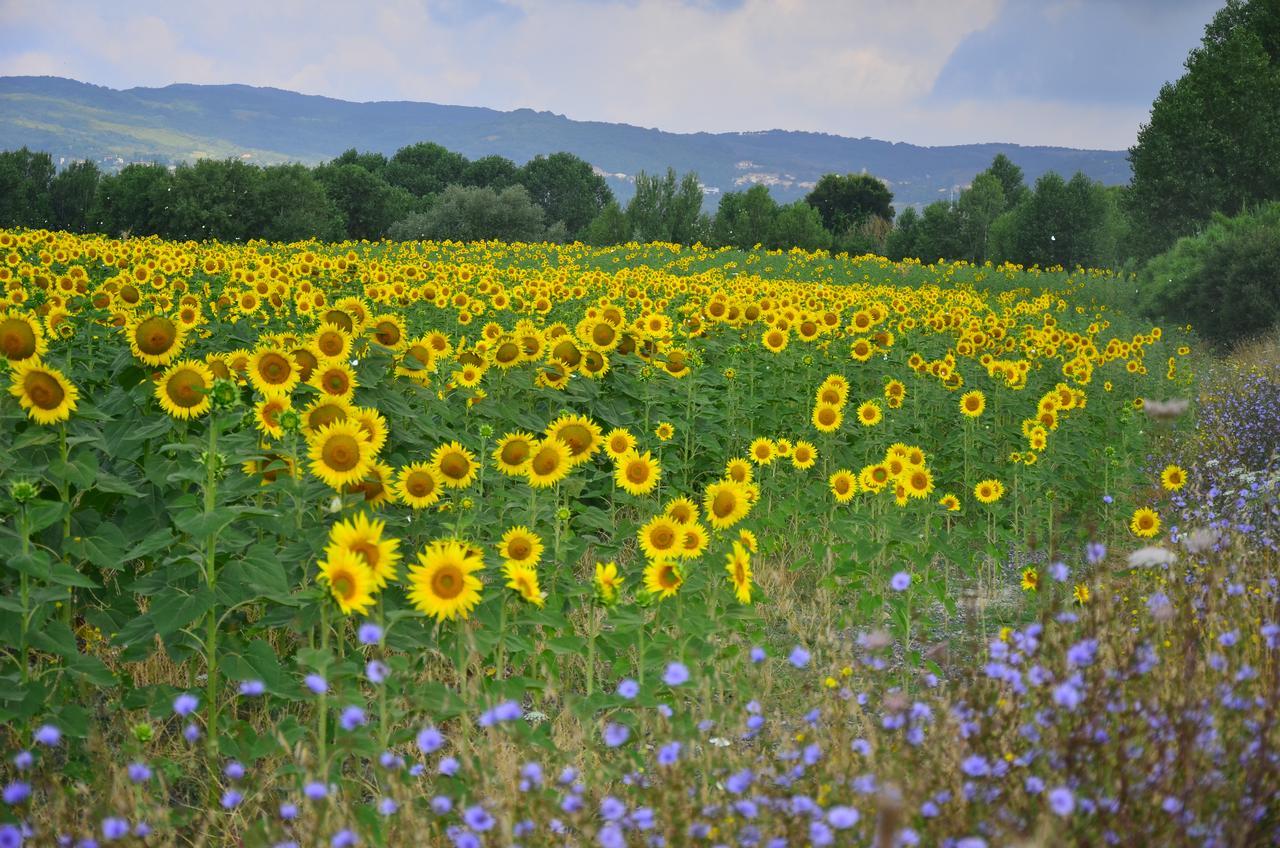 סנטה לוצ'ה Agriturismo L'Impero מראה חיצוני תמונה
